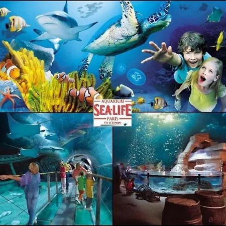 Disneyland Dream 4 - 7 Pax * Chessy (Seine-et-Marne)